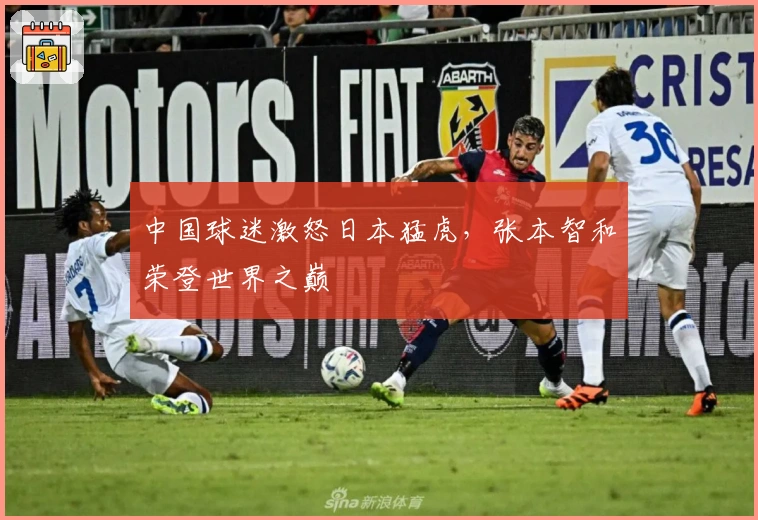 中国球迷激怒日本猛虎，张本智和荣登世界之巅