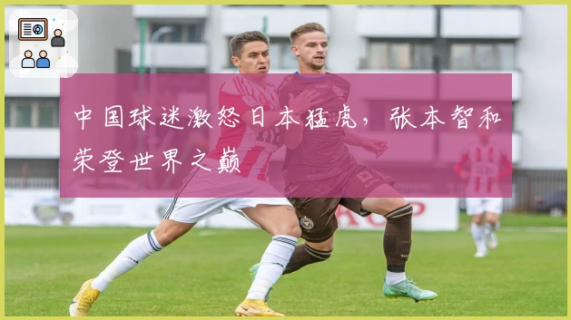 中国球迷激怒日本猛虎，张本智和荣登世界之巅