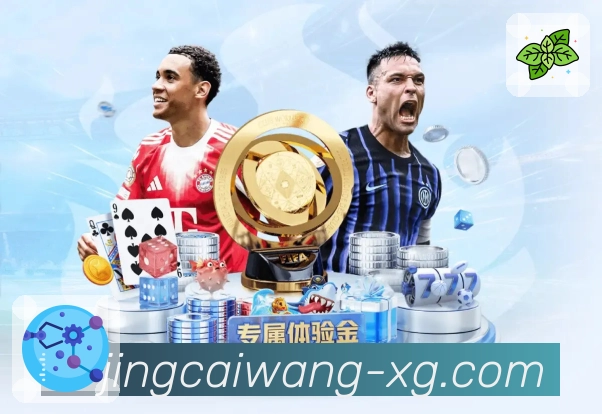 历届彩票开奖详情查询，数据精准完整 - 竞彩网。